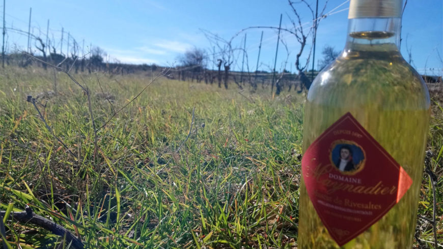 Sortie du Muscat 2018!